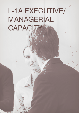 L-1A Executive/Managerial Capacity