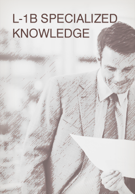 L-1B Specialized Knowledge